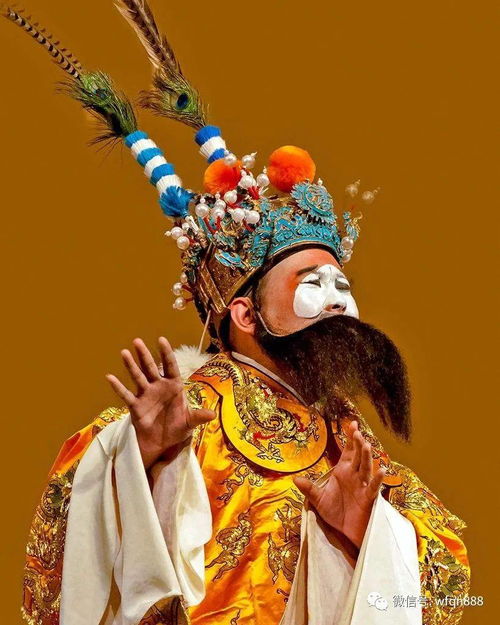 a．外峦头布置原则——后靠前照法则