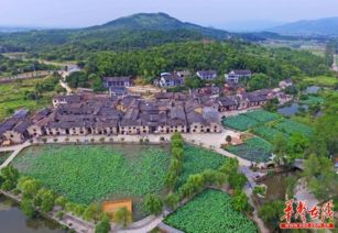 白廊镇的差异化策略：避开高峰, 体验本地生活