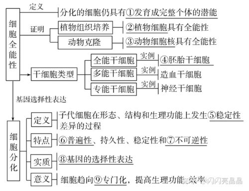 天体体系层级结构解析