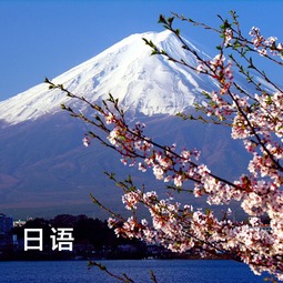 寓意风与自由的日本名字