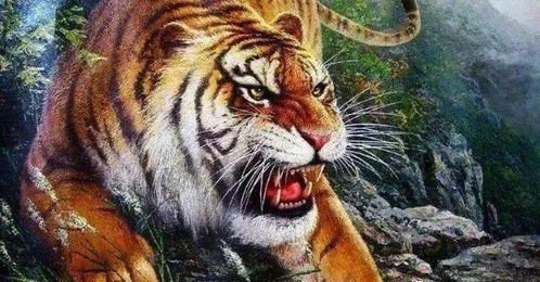 属虎人2026年运势如何？属虎人2026年是否为吉运年？