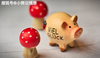 2026年属猪人运势和财运如何，每月财运运势具体是什么？