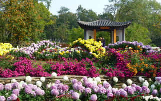 中科院植物园门票优惠套餐：本质是哪些？