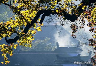 三、  民俗文化的深层解读：仪式背后的象征意义