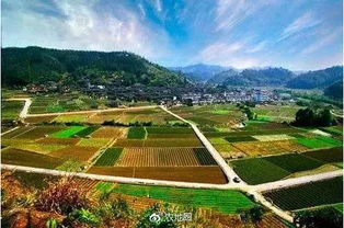 挖土挖到灵魂深处：那些让人笑到肚子疼的乡村梦境解析