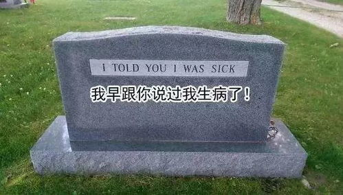 二、 文本中的生肖星座隐喻及其象征功能
