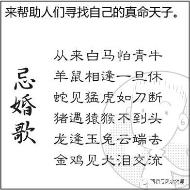 生肖命理与婚姻运势的深层逻辑