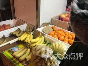 案例解析：不同风格的命名策略