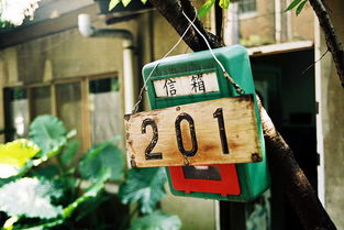 水属性：智慧、 流动与变化的哲学