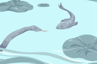 女人为什么会梦到一条白色的鱼呢？这背后有什么忒别的含义吗？