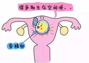 医治方法嘛…