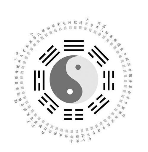 姓名作为信息整体的更