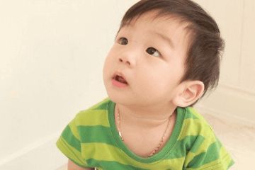 二、十二生肖起名乱炖（噪音版）