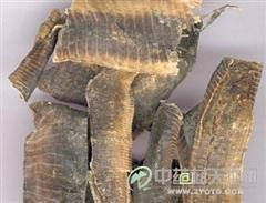 透地龙风水图解中，如何辨别透地龙的吉凶？