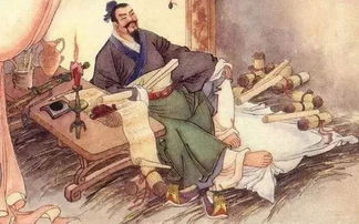 （二）对徐莉误判与刺客事件