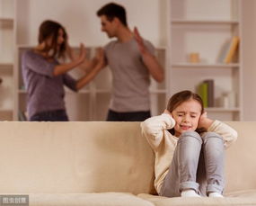一、 家庭生活财务状况与婚姻关系平稳性的关联性解析