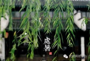 二、处暑养生要则：顺应时令以调理身心