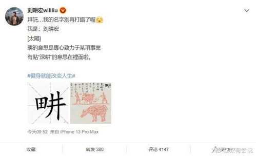 一、 名字的寓意：个性、悦耳与治愈