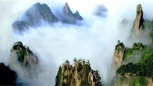 岳麓山：层林尽染， 诗意盎然