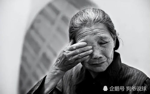 1. 传统方式孝道观念面临的挑战