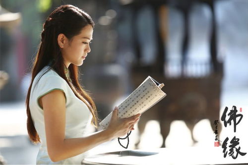 社会文化与心理层面的综合考量