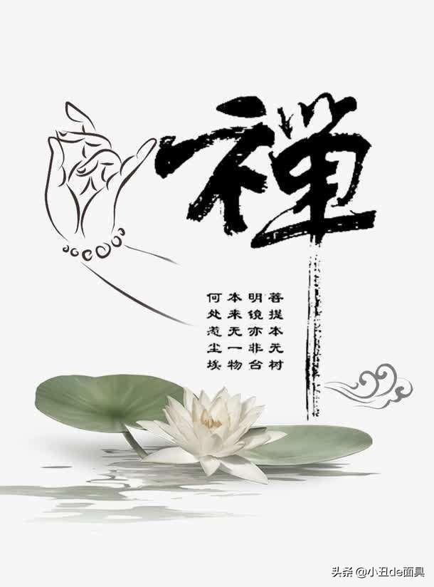 给小家伙起个好点的！