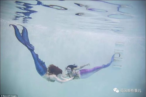 探险家的遭遇：诅咒的作用于与解除