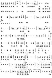 温柔的小兔子也有春天