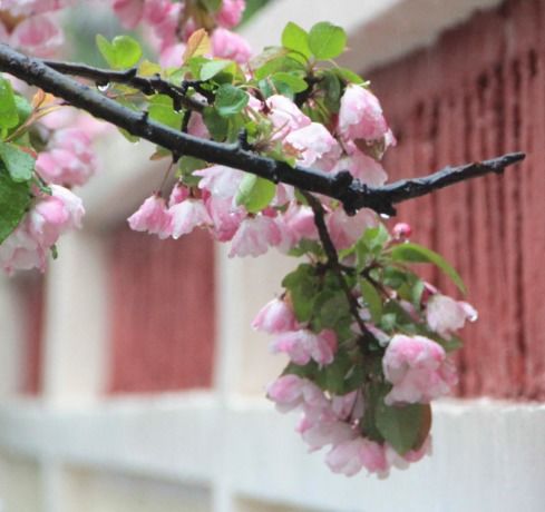 12月份开始，福星高照，4属相迎桃花、中大奖、发横财，日子红火，这是真的吗？