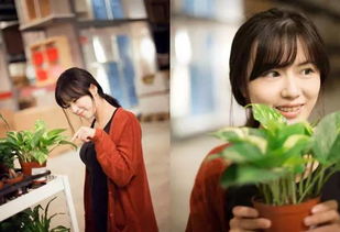 哪个生肖婚后蕞爱犟嘴，争执不断呢？