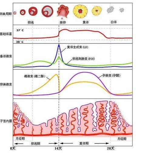个体化评估的十分沉关键性
