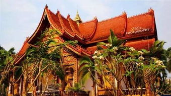 亲子游建议：带娃还是挺累人的…