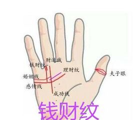 四、 其他关键纹路：钱财纹、事业线及星形纹