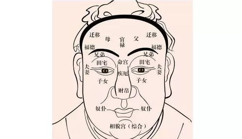 三、  人性复杂面相的批判与警示
