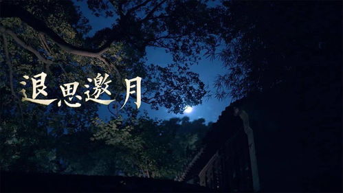 刚启动的不解与疑虑