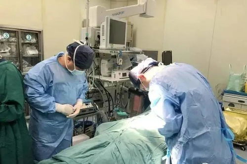 三、 生命延续：五名患者的重生希望