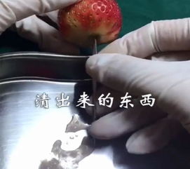 二、 法律制度法规规范与伦理责任的交织