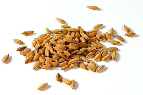 五、 其他乱七八糟的含义