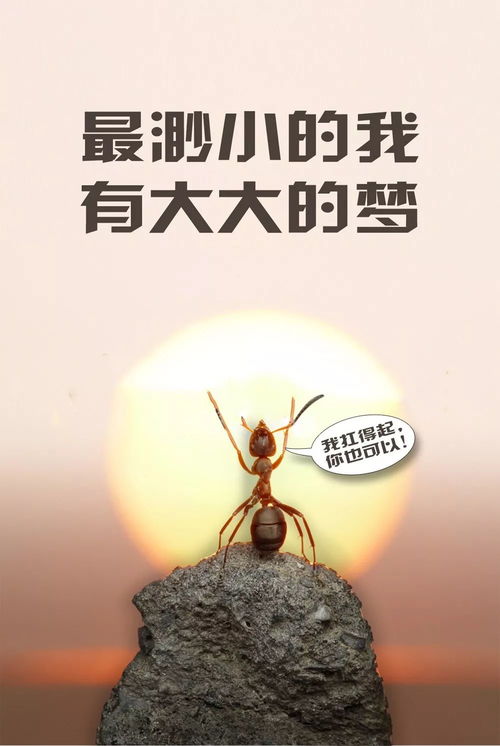 3．伦敦浓雾中的行旅困境——史密斯赴学院之路
