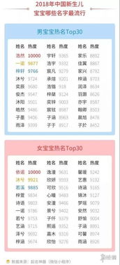 提升销量？你的名字就是你的品牌