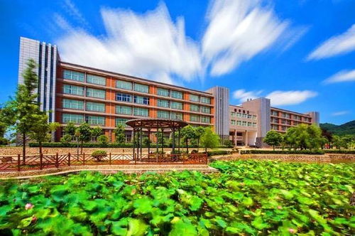 东湖：武汉的大海