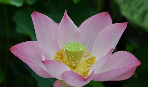 三、 时空节点与征兆显现：以2024年下半年为例