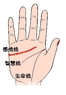 手相学的历史持续发展与理论基础