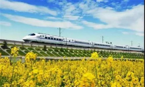 长沙那些事儿：景点乱入实况转播