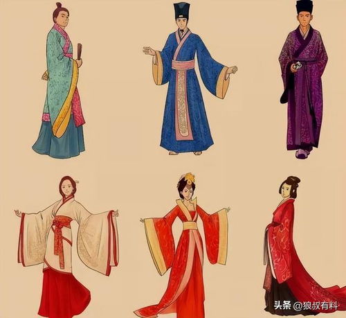 一、 基本结构特征的系统性阐释