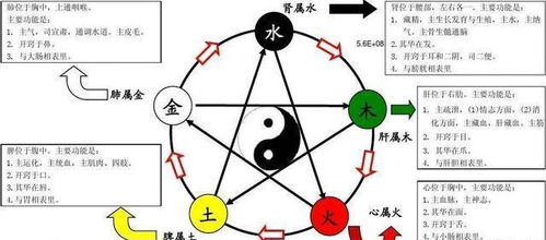 一、 阴阳平衡的科学研究内涵与实证维度
