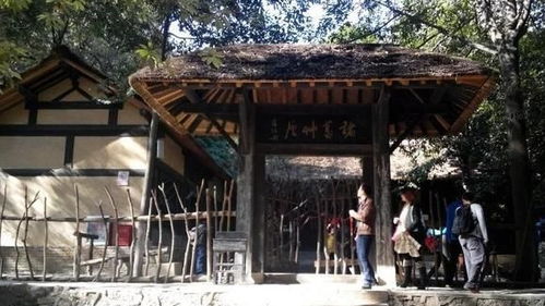 四、 文化底蕴意涵解读：悲剧宿命与历史持续发展警示