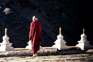 关于“天目”那点破事儿