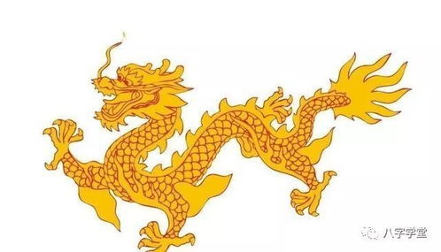 属龙摩羯座运势如何，成功人士的特质是什么？