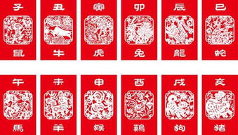 1999年属什么生肖？它在十二生肖中代表什么含义？